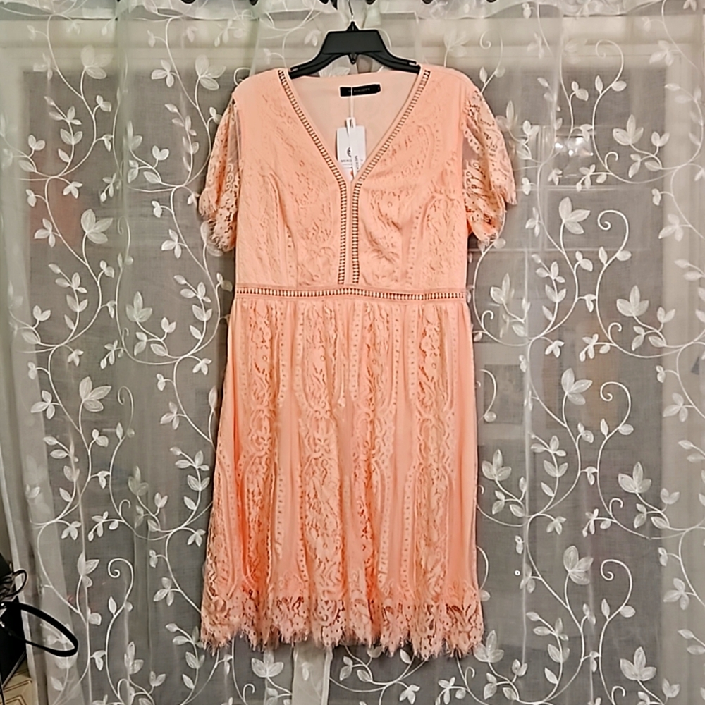 NEW Pink Lace Dress